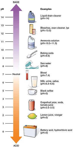 pH Scale Illustration With Examples