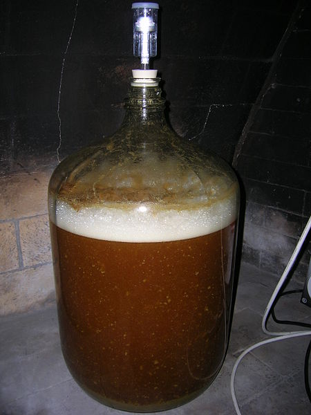 Yeast Fermenting Sugars and Generating Alcohol & CO2 Waste in Homebrew