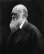 Charles Darwin, photographed by Julia Margaret Cameron