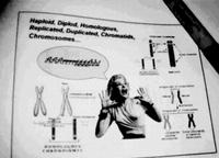 Science PowerPoint Lecture