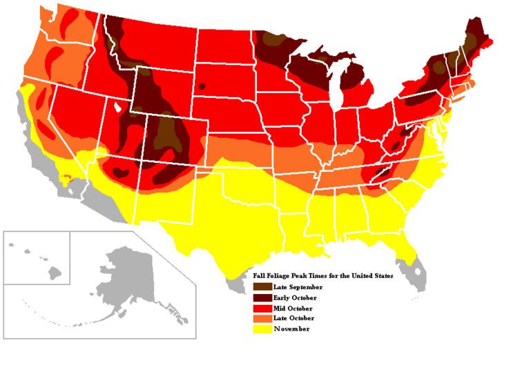 Fall foliage peaks in the United States