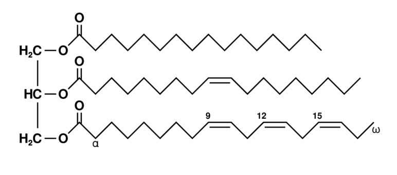 Unsaturated fat triglyceride. Left part: glycerol, right part from top to bottom: palmitic acid, oleic acid, alpha-linolenic acid. 