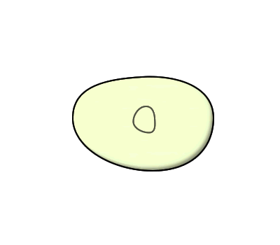 Simple gif animation of binary fission.