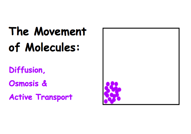 Diffusion, Osmosis & Active Transport Lecture Main Page