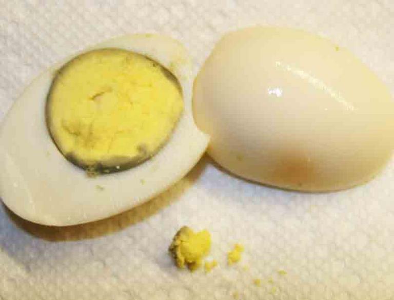Planaria Like to Eat Hard Boiled Eggs
