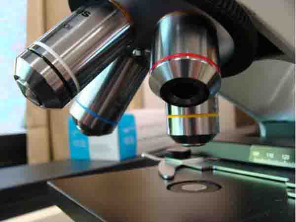 Objective Lenses on Compound Microscope