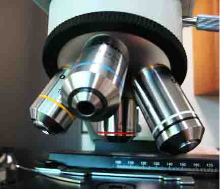 Objective Lenses of a Compound Light Microscope