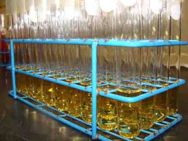 Sterile liquid broth media in test tubes.