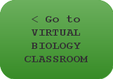 Go to the Virtual Biology Classroom