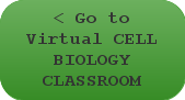 Go to Virtual Cell Biology Classroom