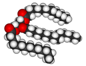 Triglyceride Molecule