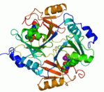 Rotating Image of Enzyme