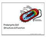 Biology PowerPoint Slide