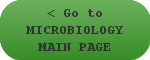 Go to > Microbiology Main Page