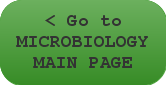 Microbiology Main Page