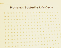 Microscopic Pond Life Word SearchWord Search