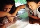 Kids Cleaning Planaria Flatworm Tank