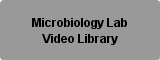 Microbiology Lab Videos