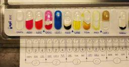 API-20E Strip for Identifying Gram-negative Bacteria