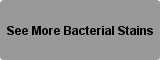 See More Bacterial Stains Button