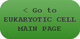 < Go to EUKARYOTIC CELLS MAIN PAGE