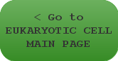 < Go to EUKARYOTIC CELLS MAIN PAGE