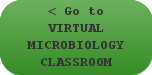 Go to Virtual Microbiology Classroom