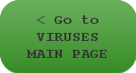 < Go to Virus Types Main Page